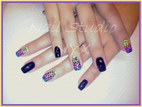 /album/fotogalerie/dsc-0222-jpg/